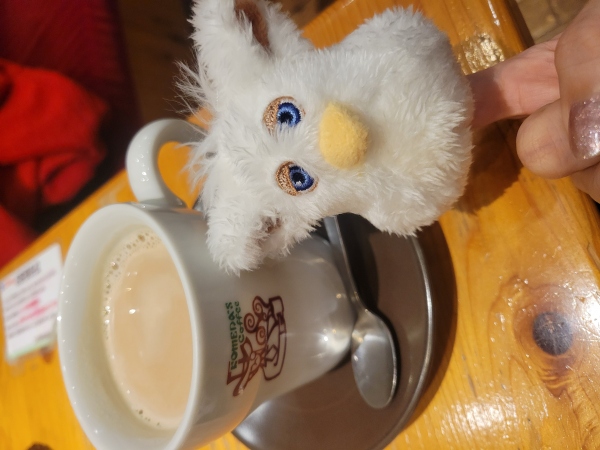 宮下ひかるの写メ