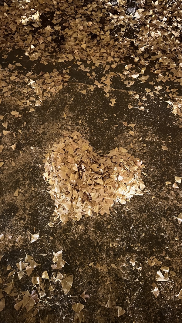 山口さなの写メ