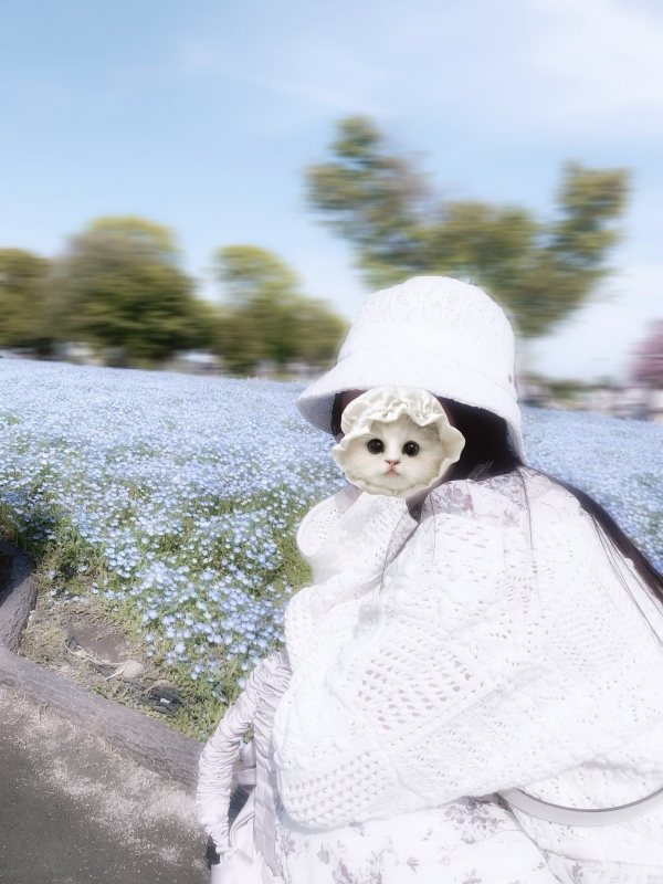 ポカポカ春日和🌸✨️